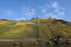 Mosel